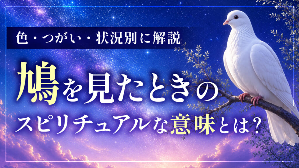 鳩を見たときのスピリチュアルな意味とは？色・つがい・状況別に解説